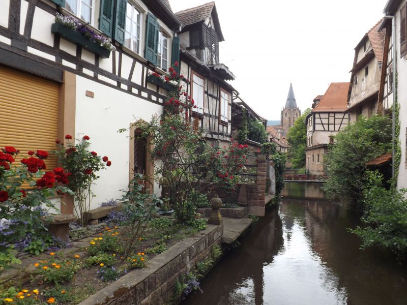 Wissembourg 2014