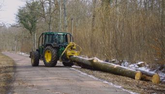 Travaux d'exploitation forestière au bord de la RD919 (sortie Wimmenau vers Ingwiller)