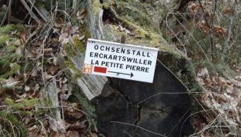 Le sentier de randonnée GR 53 a besoin de vos idées