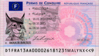 Points - Permis - Préfecture