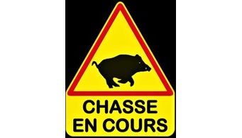 Info Chasse !