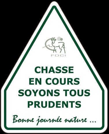 chasse en cours