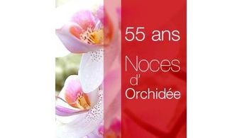 Noces d'orchidée pour Christiane et Gottfried !