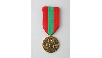 Remise de la médaille de la famille française