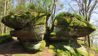 Le Parc Naturel Régional des Vosges du Nord