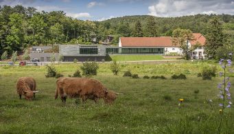 Au musée Lalique, mais aussi à la médiathèque de Wimmenau